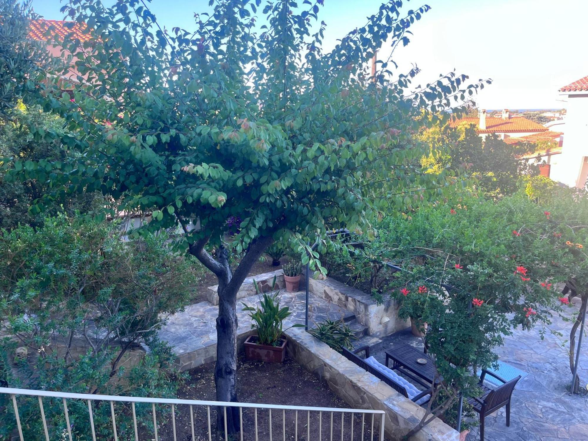 Villa Fatta Di Sogni Pula Εξωτερικό φωτογραφία